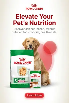 pet product ad