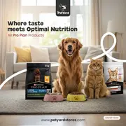 pet care product ad creative