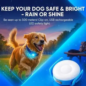pet product ad template
