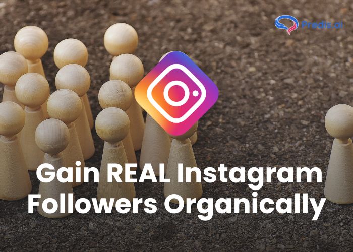 How To Gain REAL Instagram Followers Organically