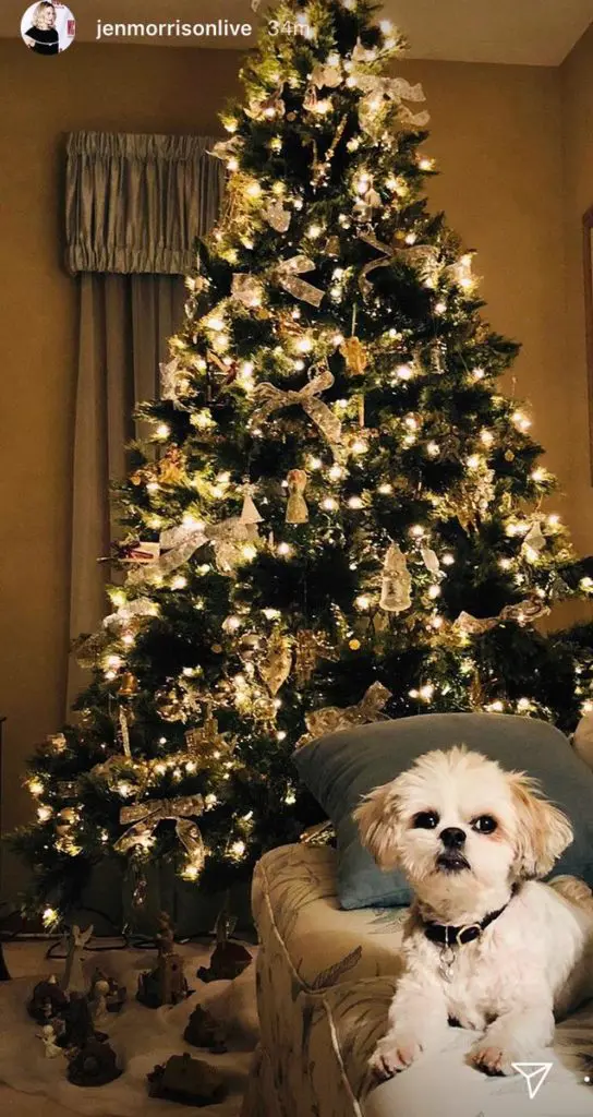 Christmas interactive posts Instagram story