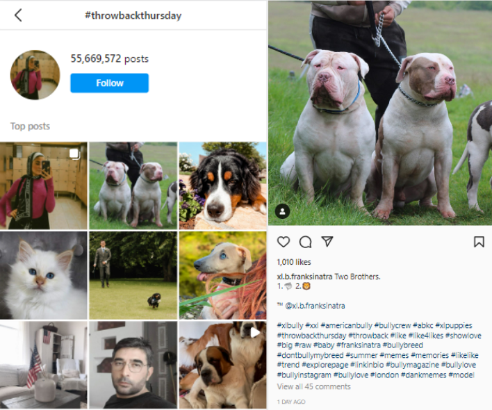 Example for Thursday Trending Instagram Hashtags