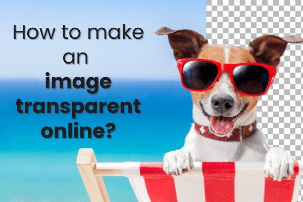 Make an Image Transparent - Easy Online Tool