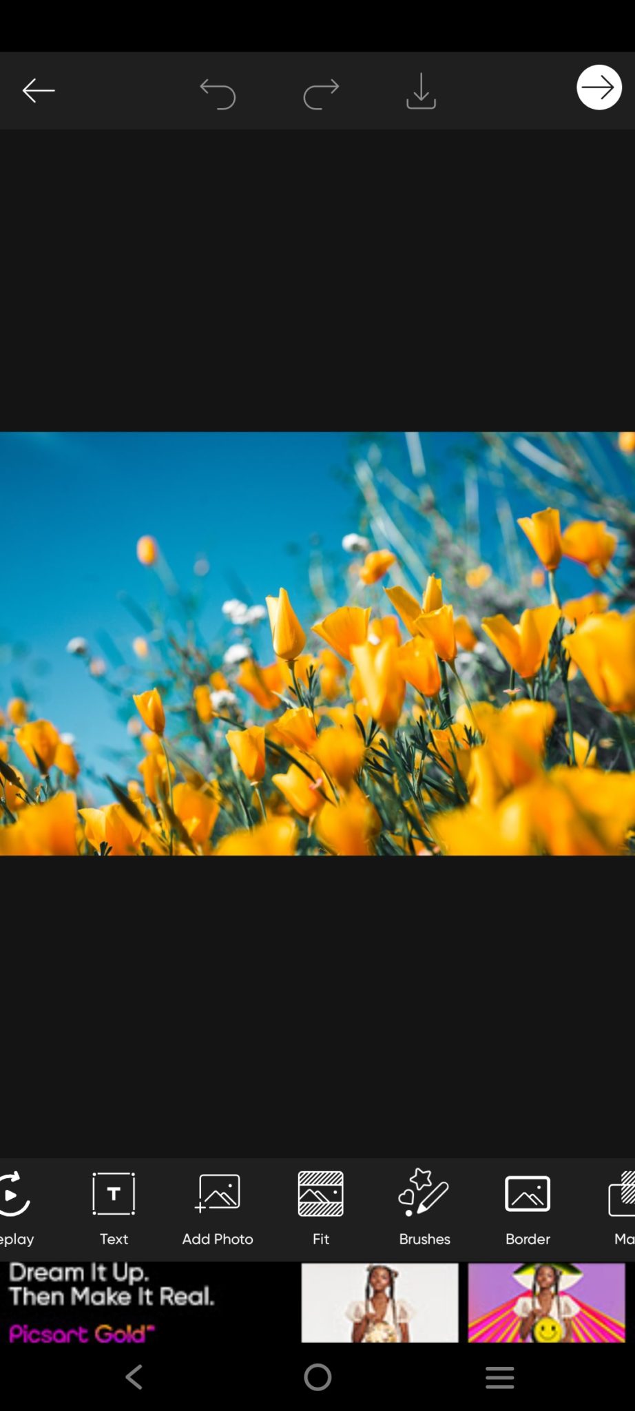 Make Pictures Fit on Instagram Without Cropping Best Solutions