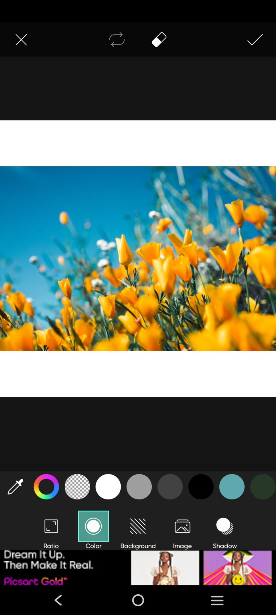 Make Pictures Fit on Instagram Without Cropping Best Solutions