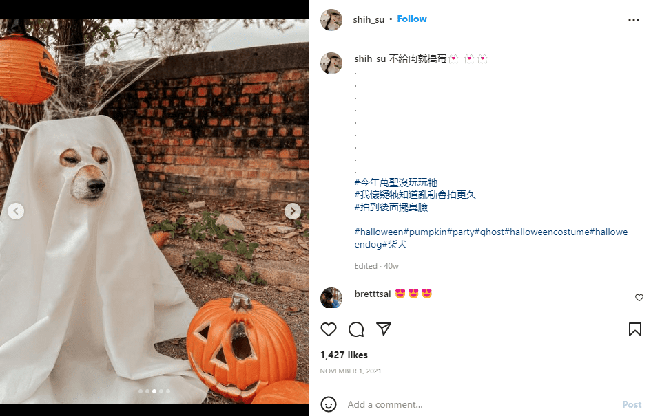 Strašidelný přízračný pes - nápady na příspěvky na sociální média halloween