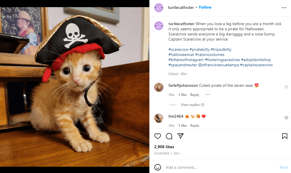 Halloween Social Media Post mat Kaz verkleed an engem Pirathut