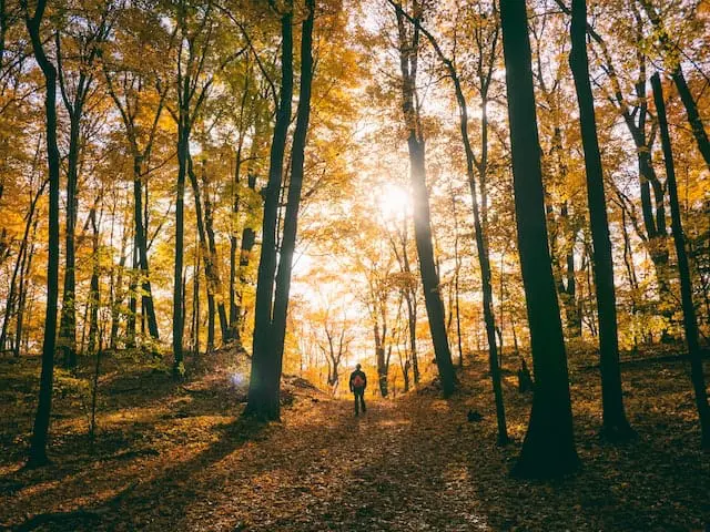 Hiking for September content ideas