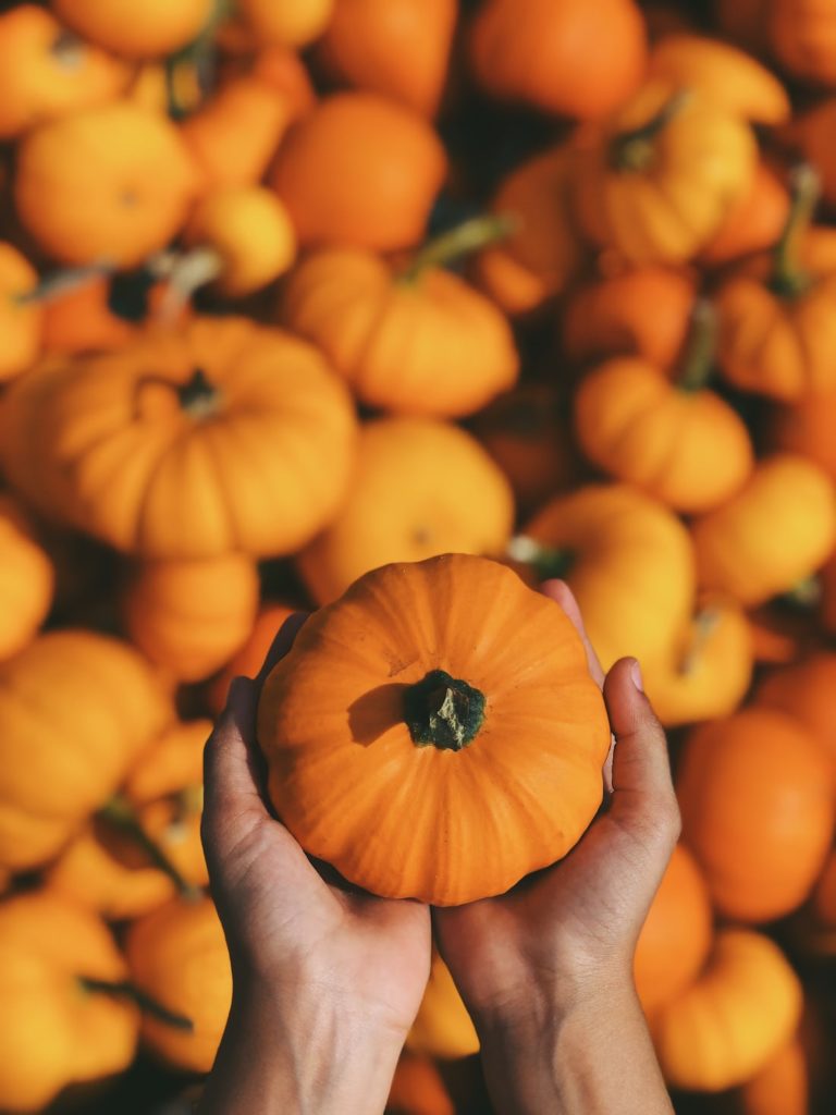 Pumpkin season - October content ideas for Instagram Posts