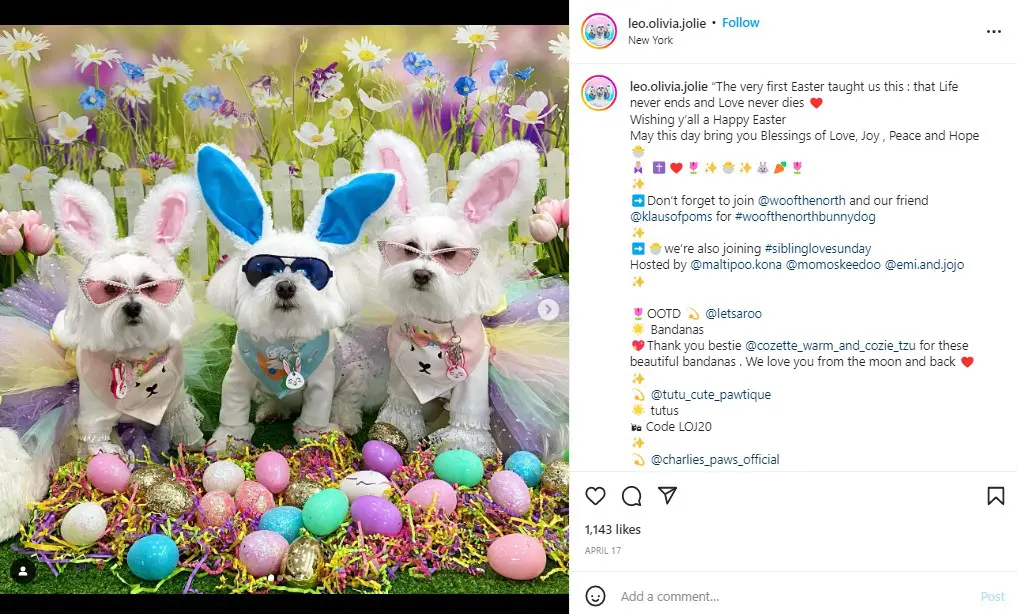 easter pet social media post ideas