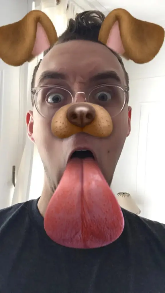 Dog face filter