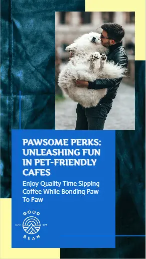 An Instagram story prompting pet-friendly cafe