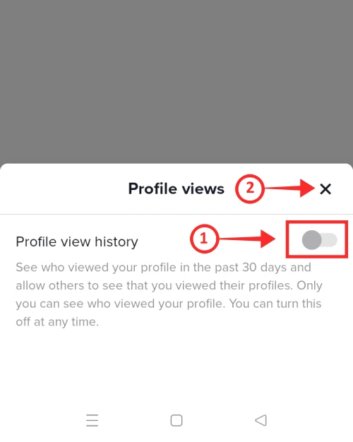 how to turn off profile views on tiktok