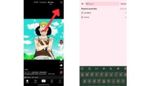 Diverse Methods for Saving TikTok Content A Compar Diverse Methods for Saving TikTok Content A Compar - How To Archive Tiktok Videos