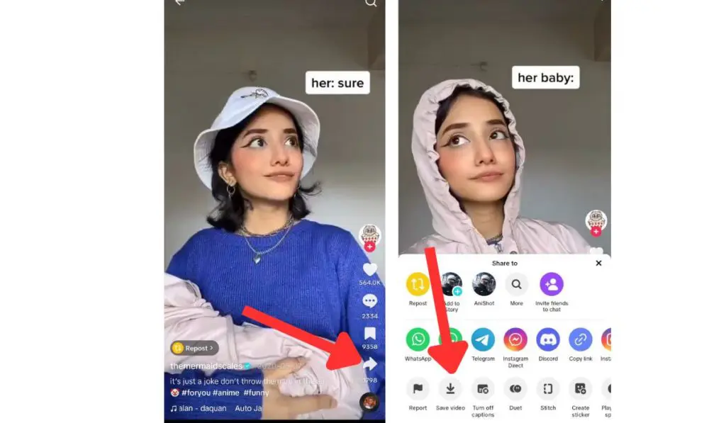 Archive TikTok Videos