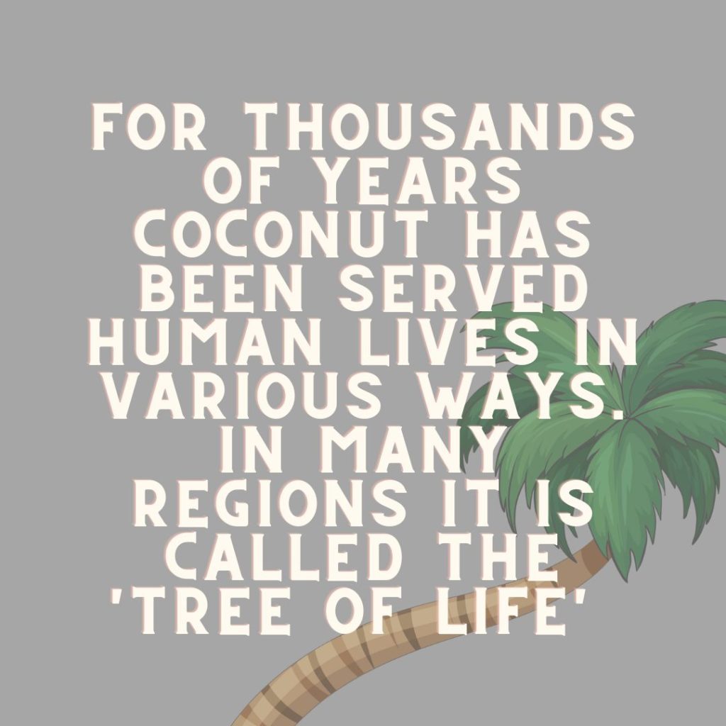 world coconut day content ideas