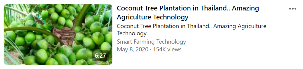 video on coconut tree plantations
