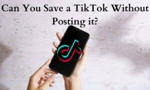 Can You Save a TikTok Without Posting it