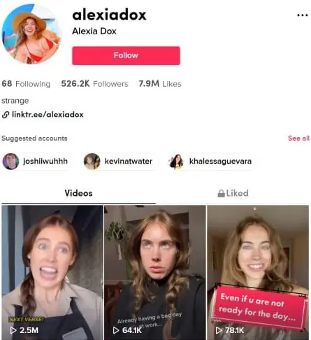 TikTok bio idea