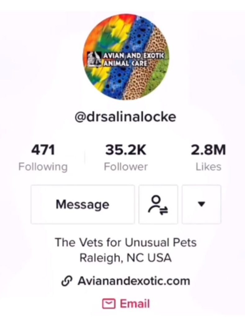 Dr. Salinalocke TikTok profile showing bio