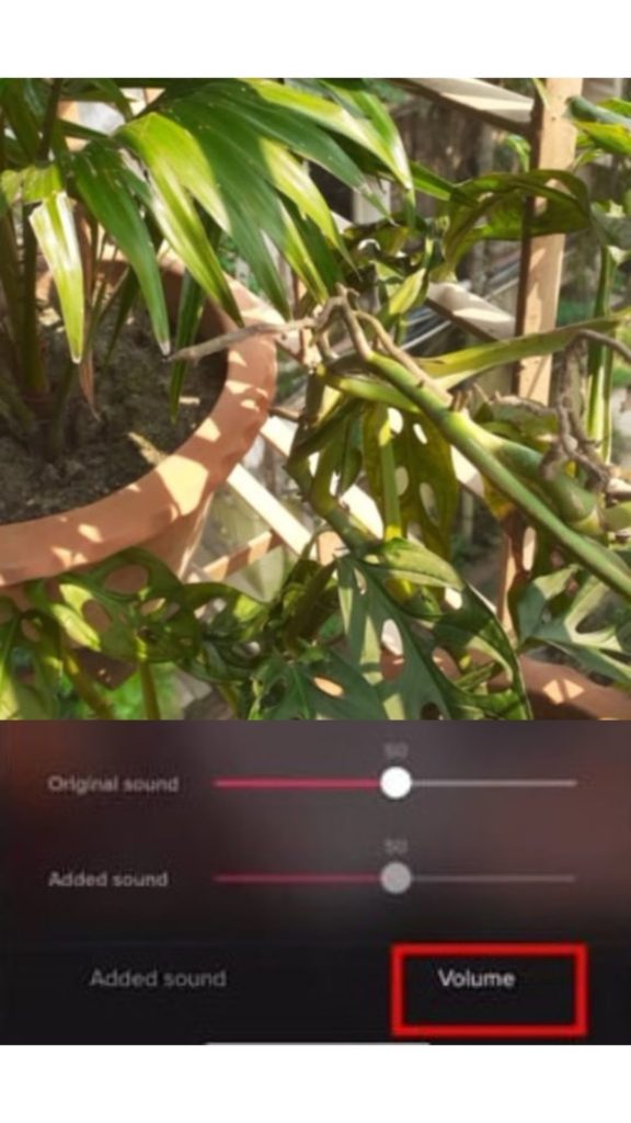 sound volume adjustment for TikTok video