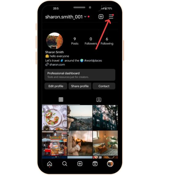 Hitta hamburgerikon för att ändra e-post på Instagram