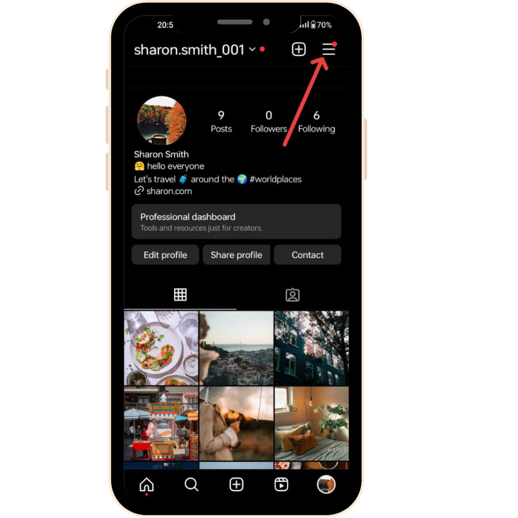 Finding hamburger icon for Changing Email on Instagram 