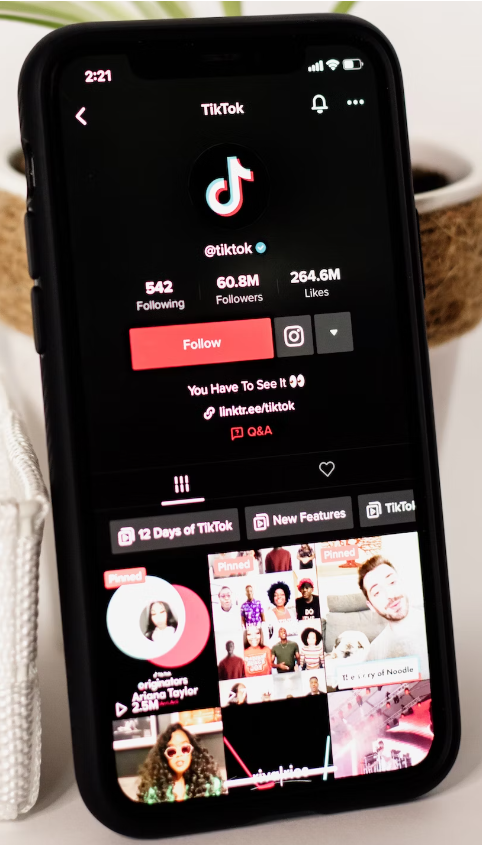 TikTok-profil, der viser afspilningslister