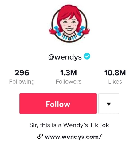 Wendy's TikTok bio