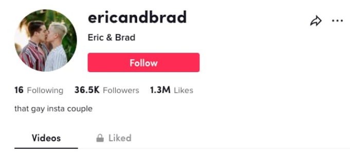 Eric and Brad TikTok bio