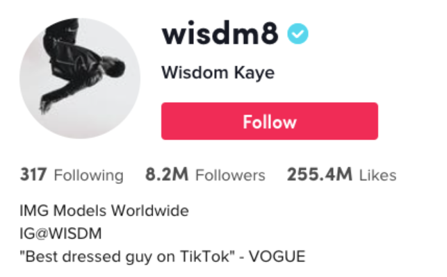 Wisdom Kaye's TikTok bio