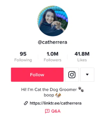 Cattherrera TikTok profile showing bio