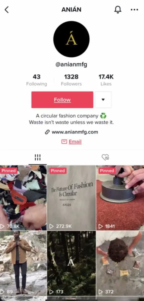 Anian's TikTok bio