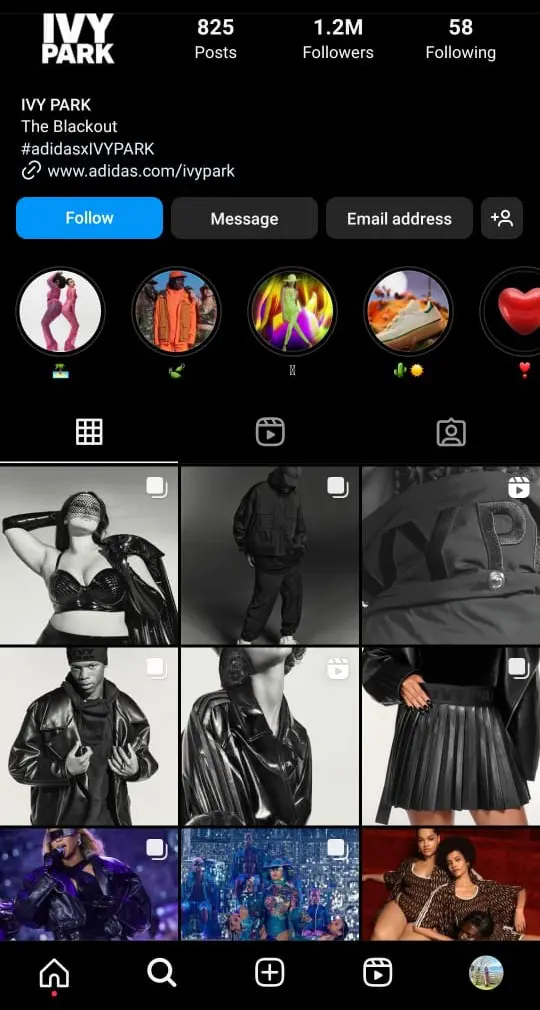 IVY PARK Instagram profile showing it's pertnership with Adidas.