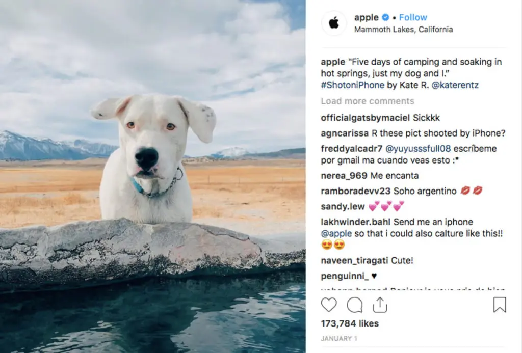Apple - UGC Creator on Instagram