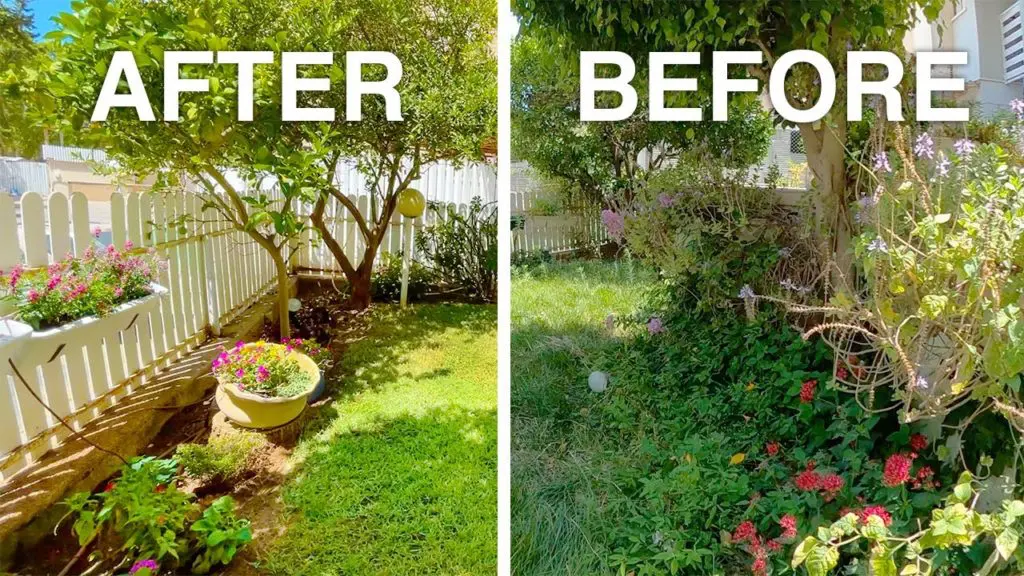 Before-and-After Marvels