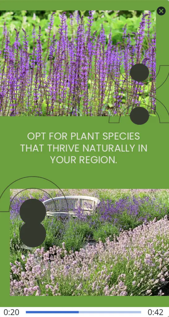 A green and purple field with a bench

