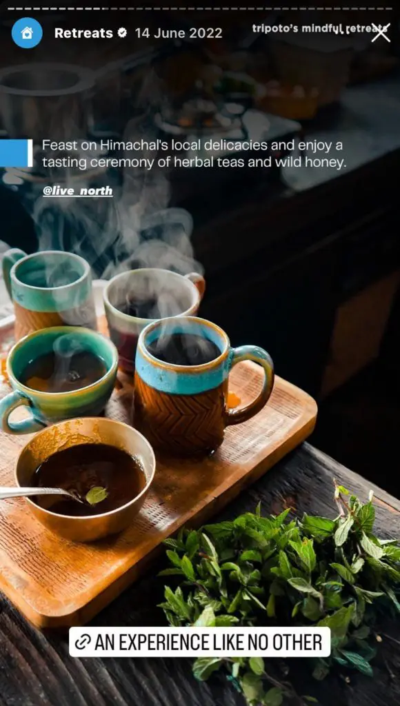 highlight famous local dishes - travel story idea
