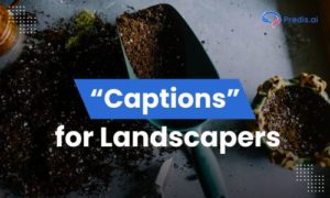 captions for Landscapers