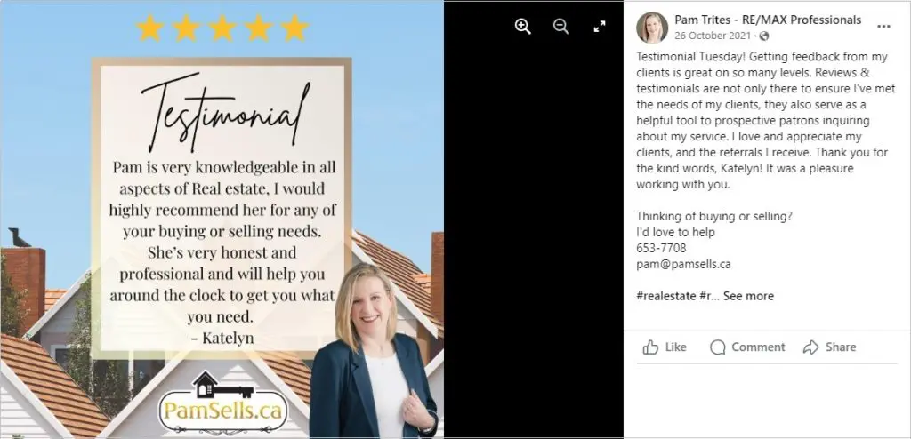 testimonial example 3
