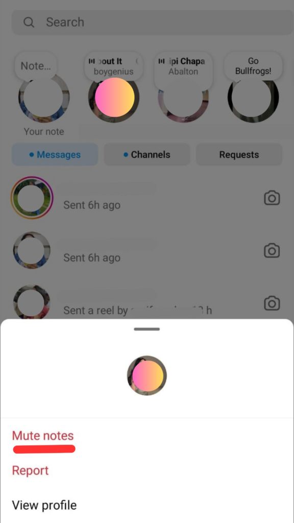 Mute someone's Notes on Instagram