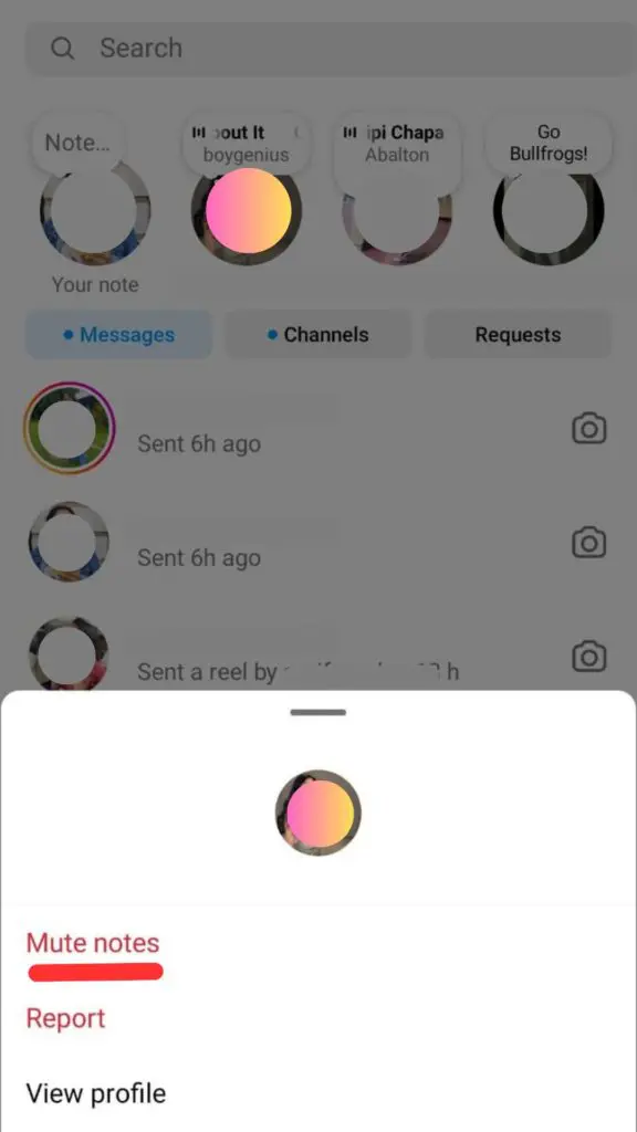 Mute someone's Notes on Instagram