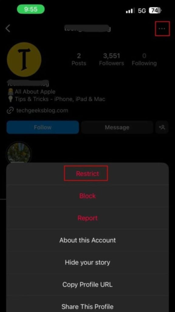 Restricting a profile on Instagram