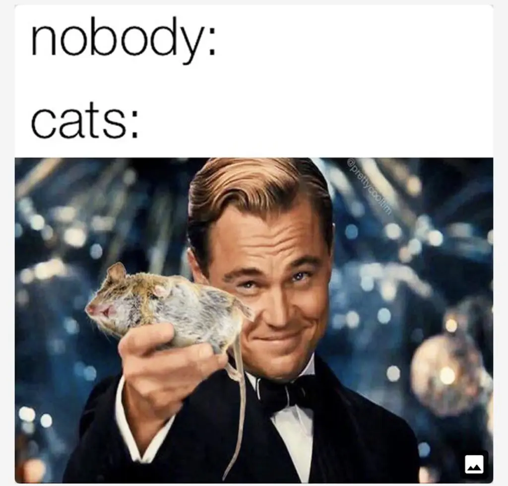 the 'nobody' meme