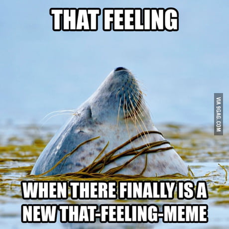 'That feeling when' meme