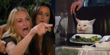 Woman yelling at cat meme