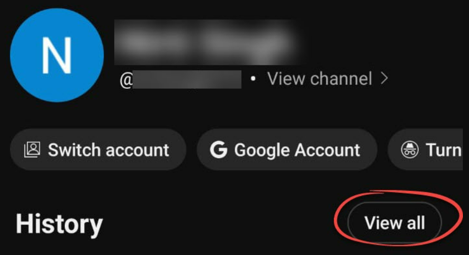 'View All' option in YouTube's profile settings
