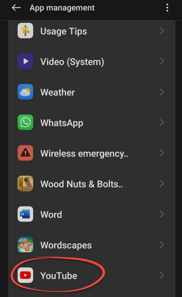 YouTube in App Management