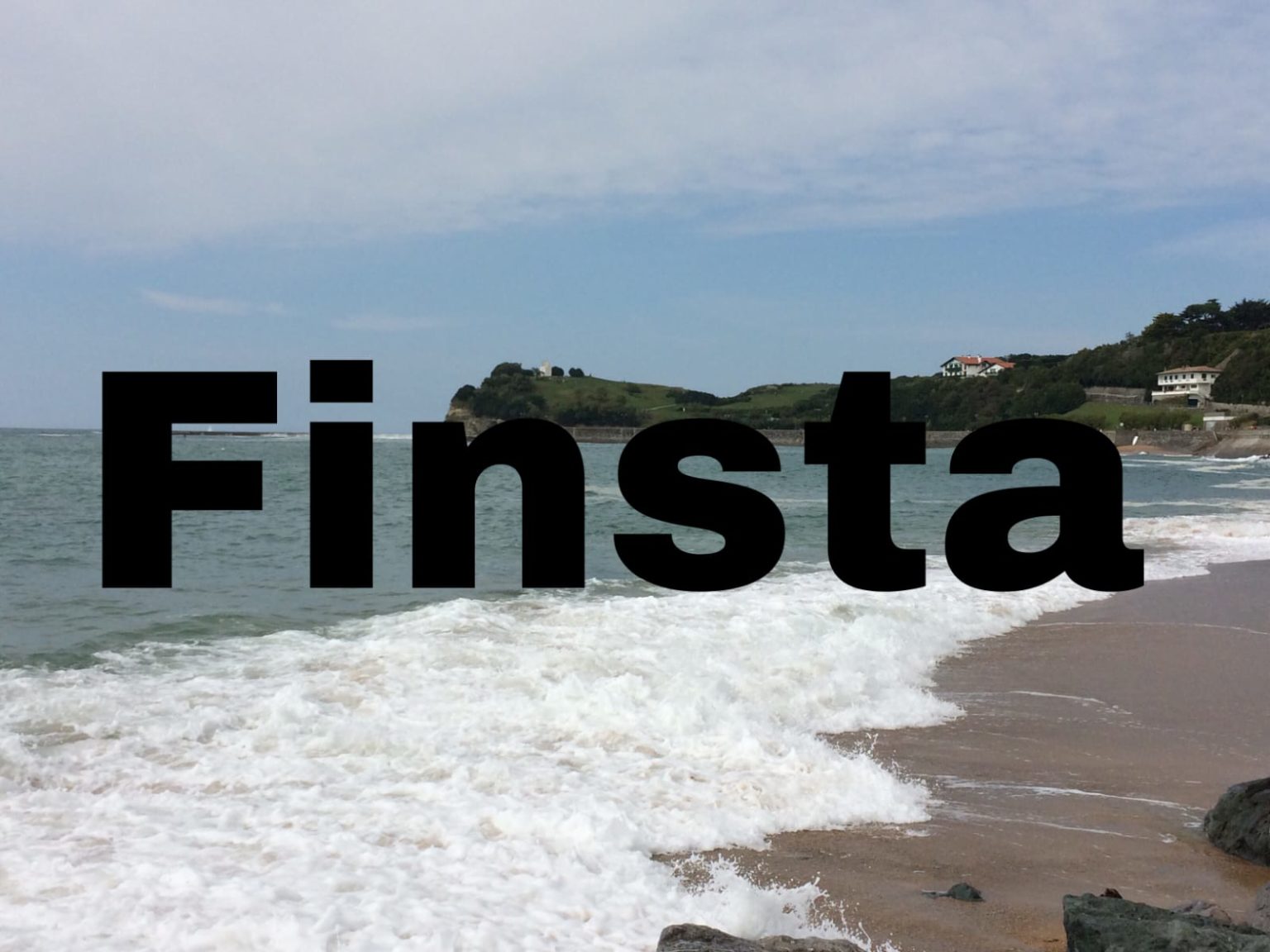 Finsta What does it mean?