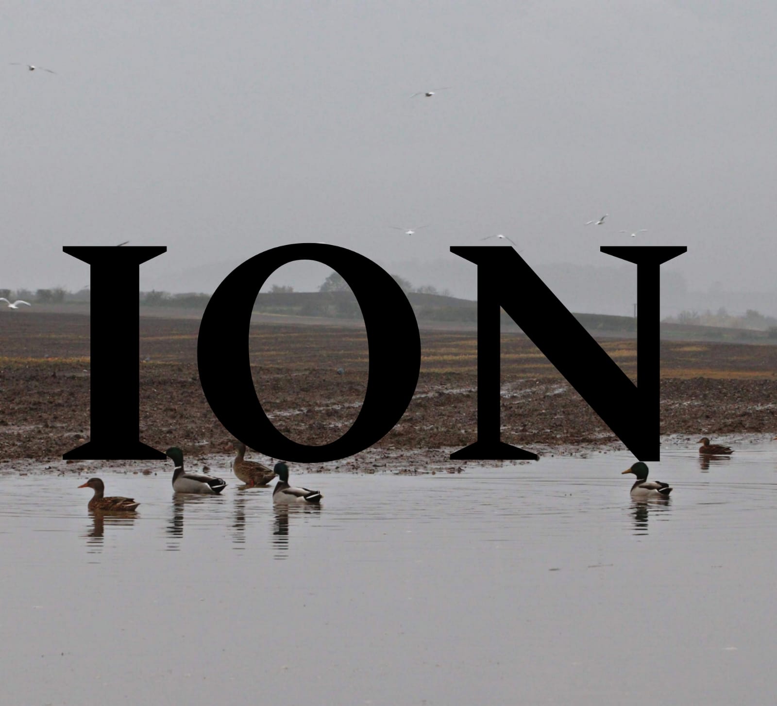 What is the Irish phrase for shut up?, image size:1600x1455